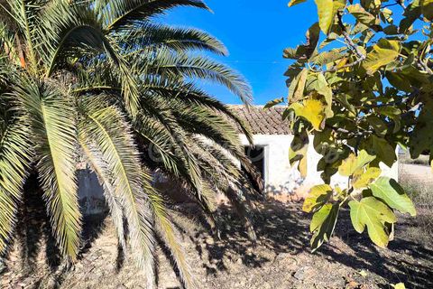 Ruinere i Yecla, Murcia, Yecla - € 28.000 | Ref: SF0551 - foto 3